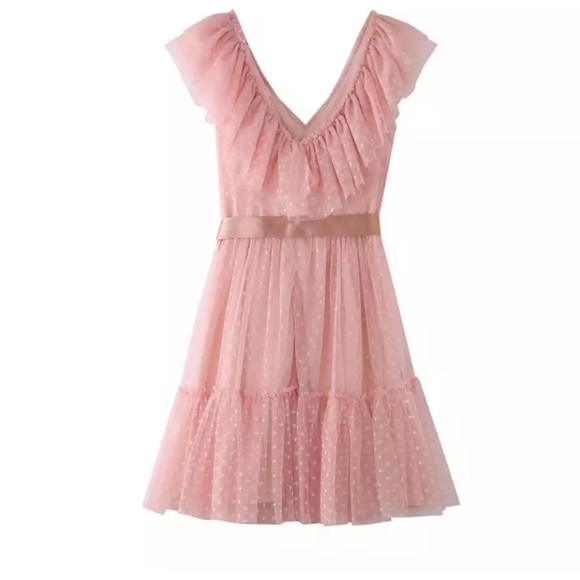 Pink Blush Ruffle Tulle Elegant Pleated Dress - Picture 7 of 16